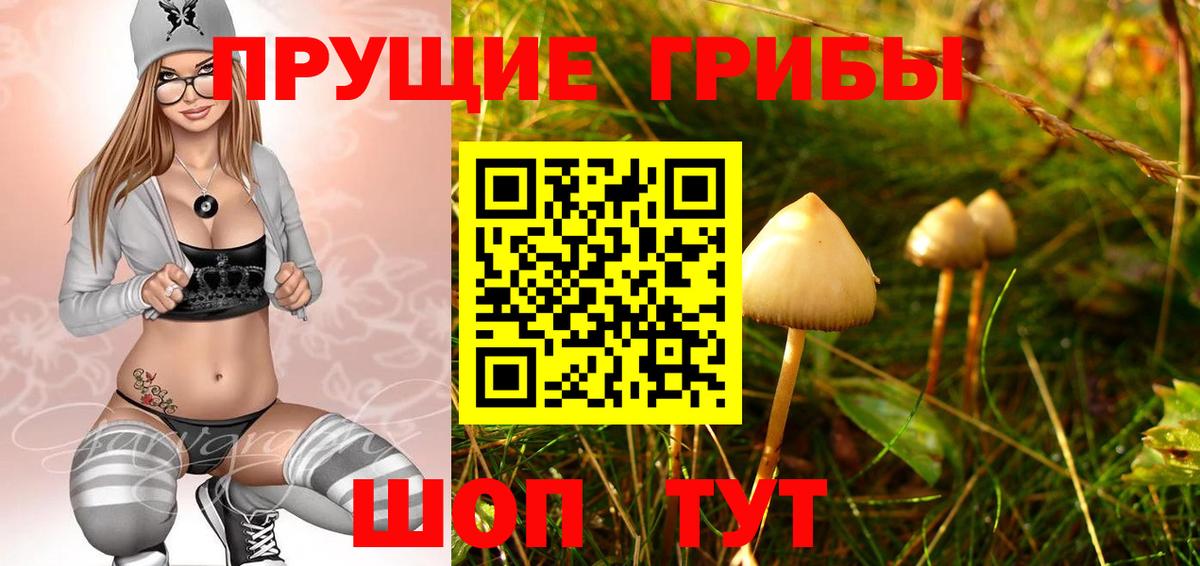 Псилоцибиновые грибы GOLDEN TEACHER  Галлюциногенные грибы GOLDEN TEACHER  где можно купить наркотик  Вход с VPN  Лыткарино 